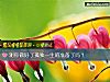 《测你做好了孤独<i>一生</i>的准备了吗？》测试