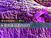 《你的<i>事业</i>走向如何》测试