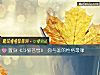《置身《斗破苍穹》 你与谁的<i>性格</i>最像》测试