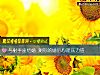《与射手座结婚 测你的婚后心理<i>压力</i>值》测试