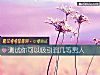 《测试你可以<i>吸引</i>到几等男人》测试