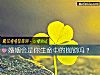《<i>婚姻</i>会是你生命中的枷锁吗？》测试