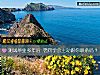 《测试毕业多年后 老<i>同学</i>会主动跟你联系吗？》测试