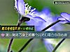 《测一测对方<i>身上</i>的哪个闪光灯最合你的心意》测试