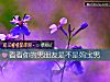 《看看你的男<i>朋友</i>是不是妈宝男》测试