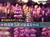 《你需要几年才能<i>事业</i>有成》测试