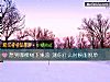 《想到哪棵树下乘凉 测你<i>什么时候</i>能脱单》测试