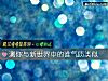 《测你与新世界中的谁<i>气质</i>类似》测试