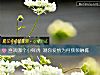 《喜欢哪个小鲜肉 测你<i>爱情</i>为何频频触礁》测试