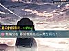 《精确分析 你的<i>性格</i>是猫头鹰型的吗？》测试