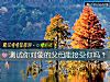 《测试你<i>对象</i>的父母能接受你吗？》测试