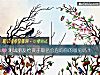 《测试<i>朋友</i>给孩子取名会咨询你的意见吗？》测试