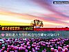 《测你进入大学有<i>机会</i>与学霸处对象吗？》测试