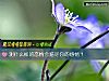 《测什么样的恋情会赔尽你的<i>感情</i>？》测试