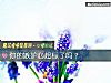 《你的<i>嫉妒</i>心超标了吗？》测试