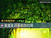 《谁最能治愈你的伤痛》测试