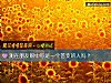 《测在<i>朋友</i>眼中你是一个善变的人吗？》测试
