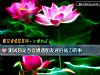 《测试你是否会遭遇<i>朋友</i>背后插刀的事》测试