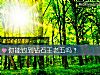 《你能钓到钻石王老五吗？》测试