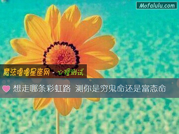 想走哪条彩虹路 测你是穷鬼命还是富态命