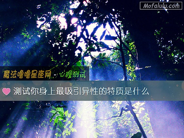 测试你身上最吸引异性的特质是什么