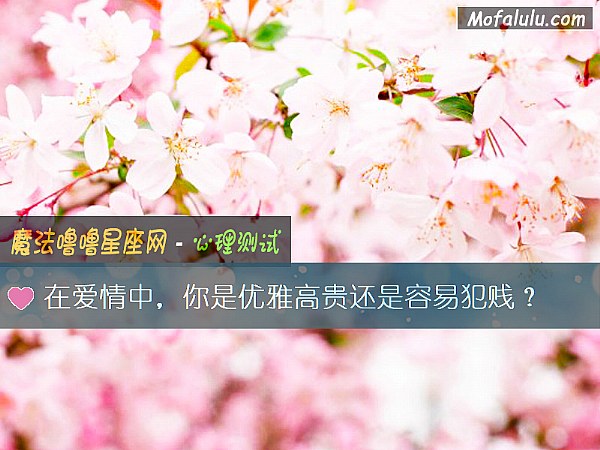在爱情中，你是优雅高贵还是容易犯贱？
