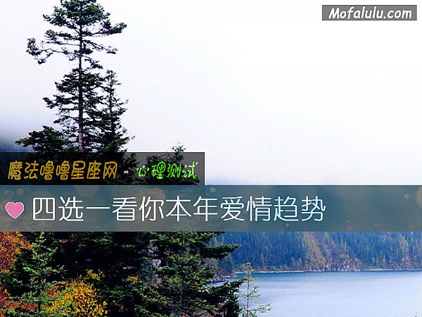 四选一看你本年爱情趋势