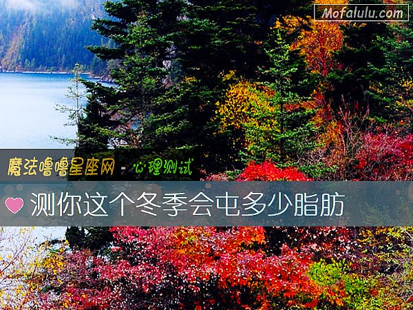 测你这个冬季会屯多少脂肪