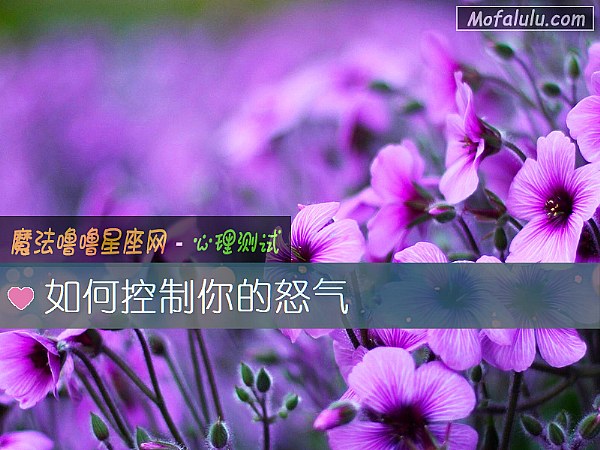 如何控制你的怒气