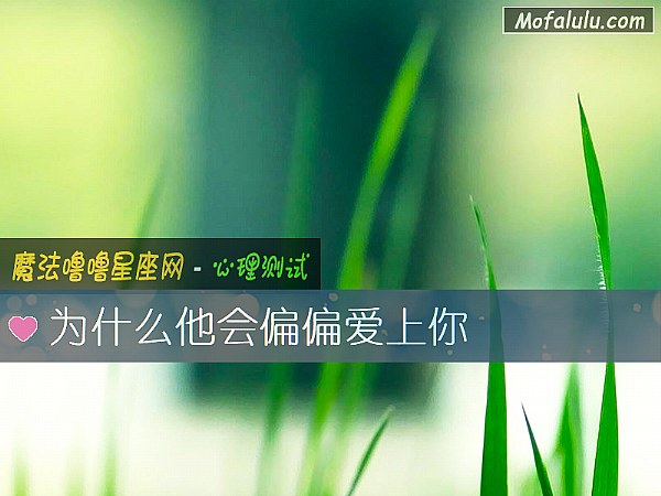 为什么他会偏偏爱上你