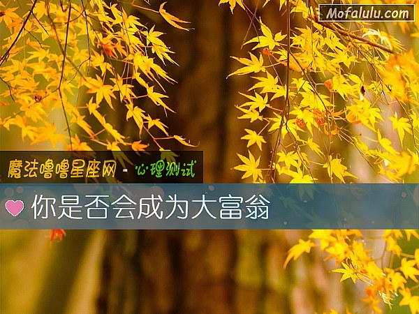 你是否会成为大富翁