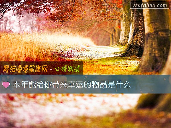本年能给你带来幸运的物品是什么