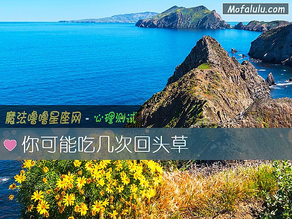 你可能吃几次回头草 你可能吃几次回头草