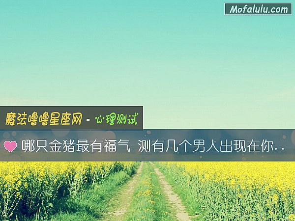 哪只金猪最有福气 测有几个男人出现在你生命中 哪只金猪最有福气 测有几个男人出现在你生命中