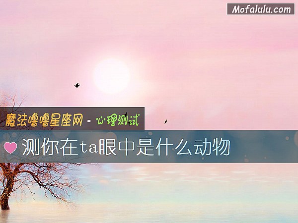 测你在ta眼中是什么动物