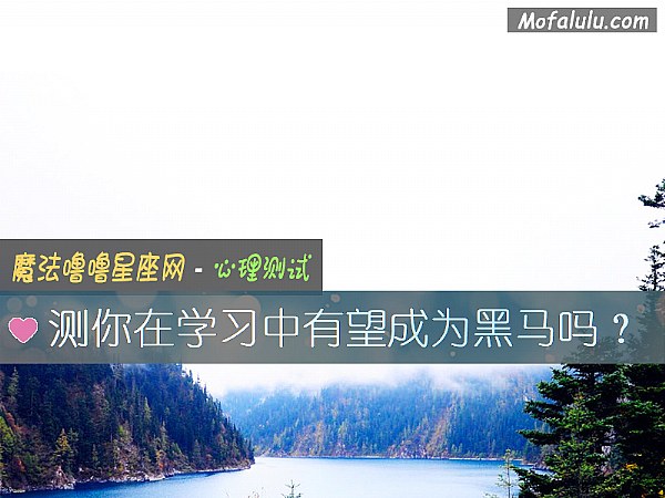 测你在学习中有望成为黑马吗？
