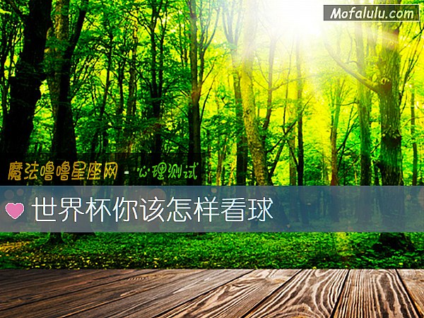 世界杯你该怎样看球