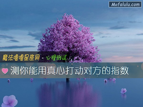 测你能用真心打动对方的指数