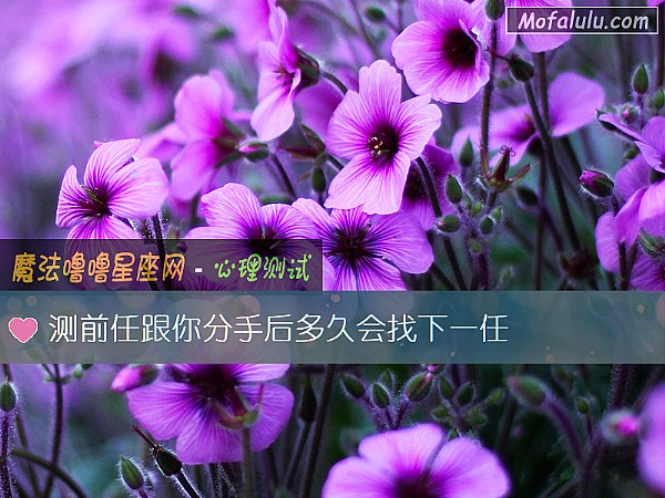 测前任跟你分手后多久会找下一任
