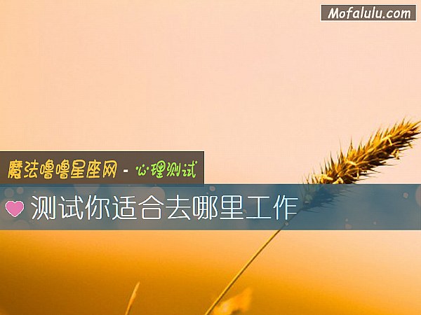 测试你适合去哪里工作