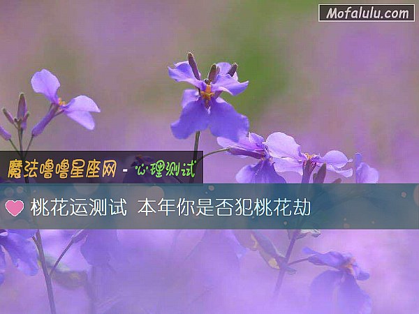 桃花运测试 本年你是否犯桃花劫