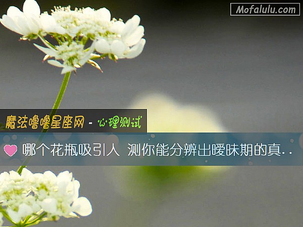 哪个花瓶吸引人 测你能分辨出暧昧期的真心假意吗？