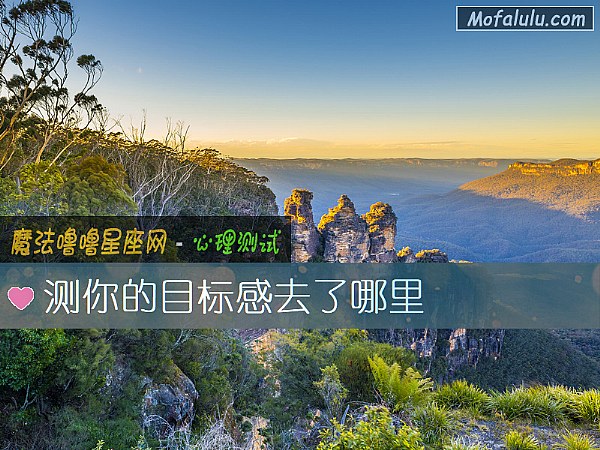 测你的目标感去了哪里
