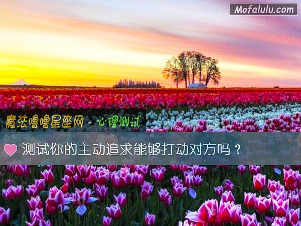 测试你的主动追求能够打动对方吗？
