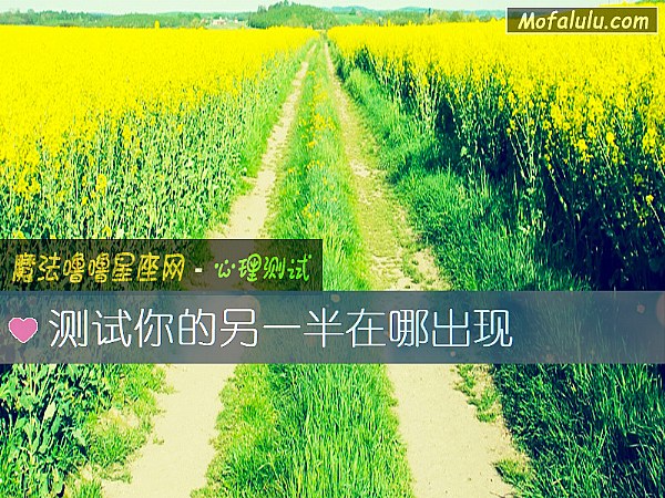 测试你的另一半在哪出现