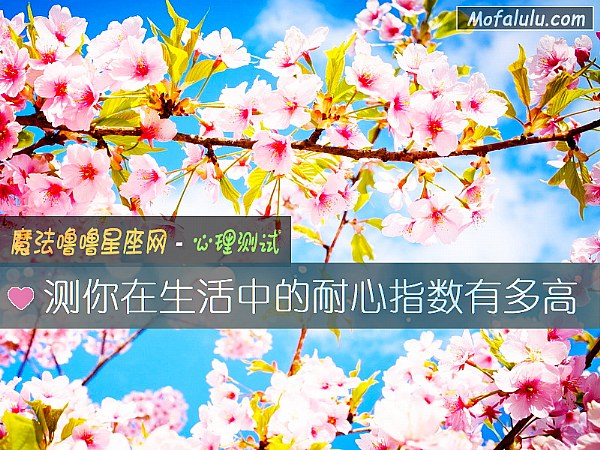 测你在生活中的耐心指数有多高