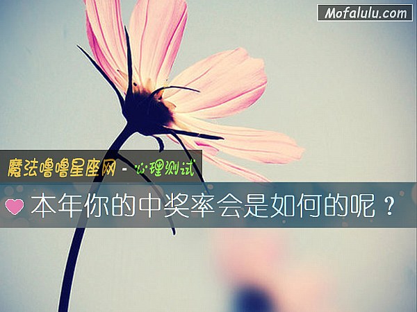 本年你的中奖率会是如何的呢? 本年你的中奖率会是如何的呢?