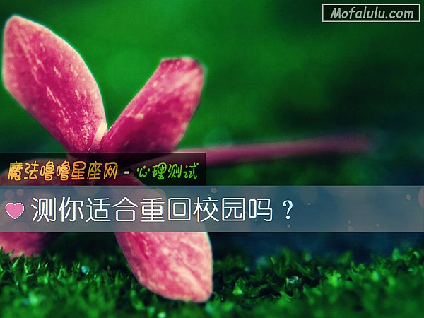 测你适合重回校园吗？