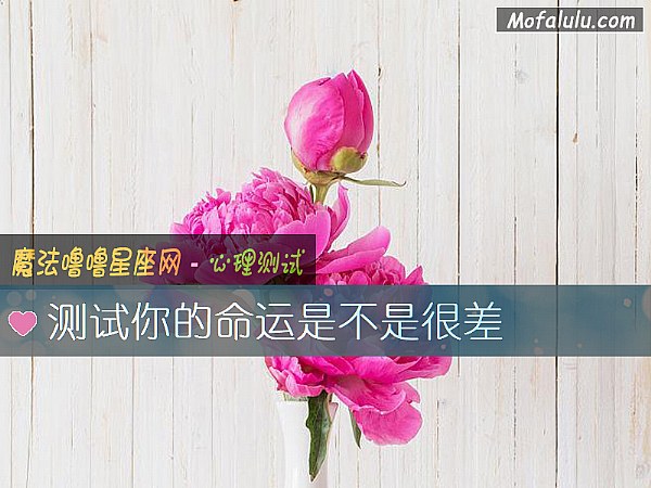 测试你的命运是不是很差
