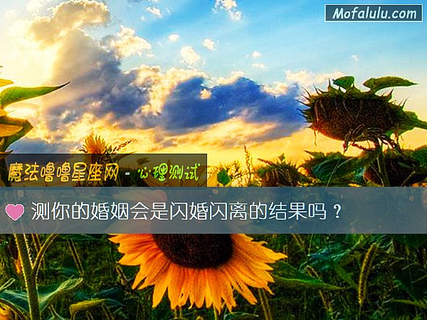 测你的婚姻会是闪婚闪离的结果吗？